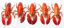 Photo Of A Group Of Vibrant Red Lobsters Arranged Neatly On A Clean White Surface With Copy Space
