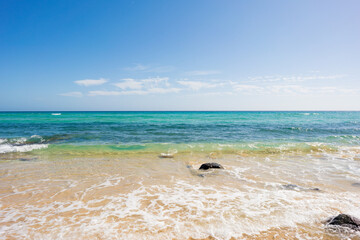 Wall Mural - sandy summer sea beach