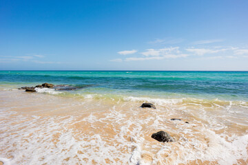 Wall Mural - sandy summer sea beach