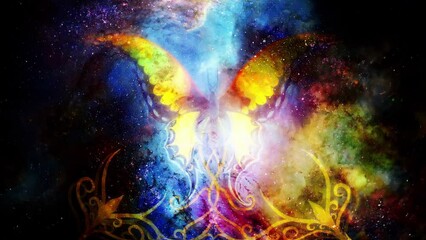 Fototapete - butterfly with ornament in cosmic space. Painting and graphic design. Loop Animation.