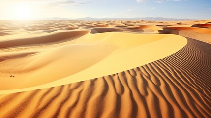 Wall Mural - Desert sand dunes in Sinai desert
