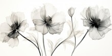 Delicate Black And White Watercolor Flowers Grace A Canvas, Their Intricate Details Mesmerizing In Their Monochromatic Beauty. Watercolor Flowers With Black Outline Generative Ai Digital Illustration