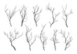 © Kateina - Collection of black silhouettes of tree branches isolated on transparent background