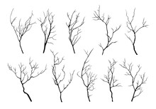 Collection Of Black Silhouettes Of Tree Branches Isolated On Transparent Background
