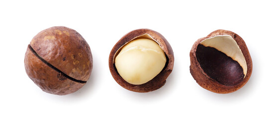 Wall Mural - Set of macadamia nut, kernel and shell on a white background. Top view