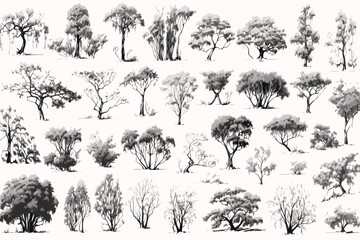 tree, silhouette, vector, nature, leaf, palm, black, plant, illustration, forest, pine, branch, flow