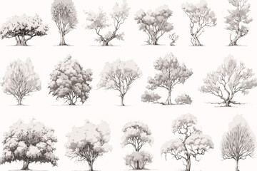 collection of trees vector