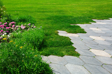 Wall Mural - walkway with concrete tiles honeycomb pattern and flowerbed with flowers near green  lawn lit by sunlight close-up, nobody.