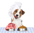 Licking lips  Jack russel terrier puppy wearing a chef's hat sits with bowls with dry dog food and raw meat. isolated on white background