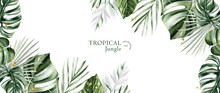 Tropical Jungle Watercolor Vector Background Design