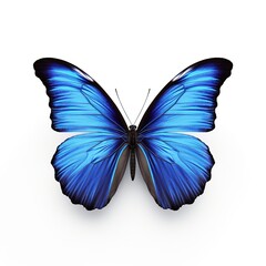 Aufkleber - Blue Tropical Butterfly