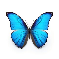Aufkleber - Blue Tropical Butterfly