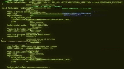 Wall Mural - 4k programmer coding on black computer screen engineer developing software app typing code screen. h
