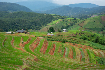 Rice terrace Pa Bong Piang Rice Terraces in Mae Chaem, Chiang Mai, Thailand. Beautiful mountain with rice terraces. The village is in a valley.