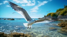 On The Coastal Breeze: Seagull In HDR. Created With Generative AI Tools