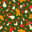 A pattern of mushrooms  poisonous, edible, mushrooms, fly agaric. Doodle drawings. Types of forest mushrooms. Organic vegetarian food. Vector illustration, isolated background.