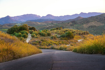 Canvas Print - Road and Sierra de Grazalema Mountains View from Olvera at sunset - Olvera, Andalusia, Spain