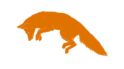 Hunting fox