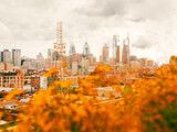 Fototapeta Miasta - Stylized Philadelphia skyline with orange leaves in foreground. 