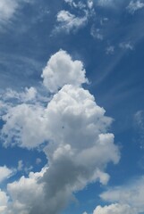 Wall Mural - natural background of blue sky with beautiful clouds
