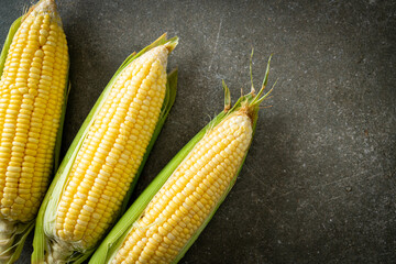 Wall Mural - fresh corn on dark background