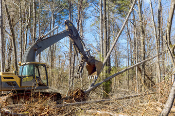 Wall Mural - Worker removing trees from forests, preparing ground for building house, using an excavator