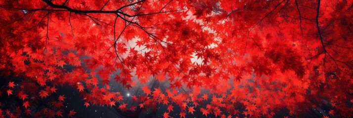 Wall Mural - Sky above the autumn maple leaves forest background