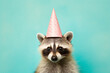 Cute racoon with birthday party hat on pastel background