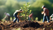 preserving the environment in the world by planting as many trees as possible