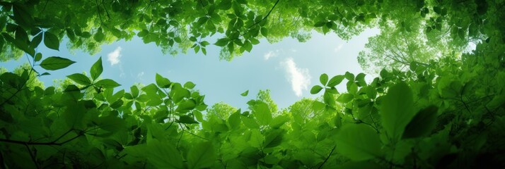 Wall Mural - Sun shining through the trees banner and wallpaper background. Generative AI