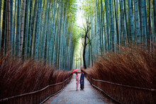Couple At Arashiyama Bamboo Grove, Kyoto, Japan