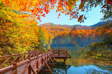 Poster - Autumn forest landscape reflection on the water with wooden pier - Autumn landscape in (seven lakes) Yedigoller Park Bolu, Turkey