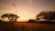 The sun sets, painting the sky in breathtaking shades amid the wild savannah. Time-lapse captures the delightful and astonishing atmosphere of the untamed landscape.