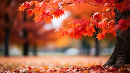 Wall Mural - Beautiful park with falling maple leaves new quality universal colorful technology stock image illustration design, generative ai