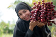 Close up, Muslim woman in black hijab with Red date palm Muslim woman is happy when she sees the satisfying farm produce, sweet and delicious for eating fresh