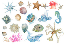 Set Of Sea Animals. Watercolor Ocean Fish, , Whale, Coral, Starfish, Shells, Octopus, Seahorse, Dolphin, Jellyfish Isolated Background. Nautical  Marine Illustration.