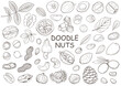 Set of hand drawn doodle nuts