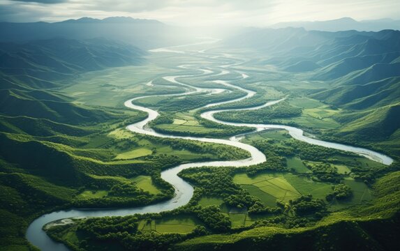 Beautiful aerial view of a river with multiple paths and meanders surrounded by green trees and vegetation.