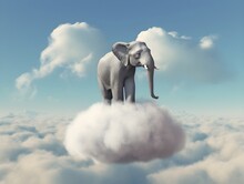 Ein Elefant Schwebt Auf Wolke Sieben