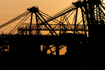 Wall Mural - Details of gigantic container gantry cranes at sunset.