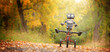 Leinwandbild Motiv Happy humanoid robot rides a bicycle along the autumn alley. Robotic object experiences feelings and emotions. Concept of technology development in the form of artificial intelligence.
