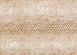 Natural pattern. Snake skin texture. Repeating seamless monochrome. Vector. Animal print. Fashionable  and stylish background.