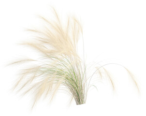 Wall Mural - Side view of wild pampas grass