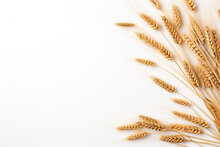 Ears Of Wheat On A White Background