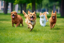 A Group Of Dog And Cat Running In The Summer Through The Green Valley. Generated Ai 