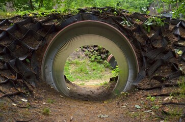 Tunnel hole with grass and moss on it in a forest lawn