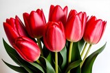Fototapeta Tulipany - Czerwone tulipany. Generative AI