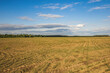 © Иван Сомов - landscape of summer wildlife in the countryside