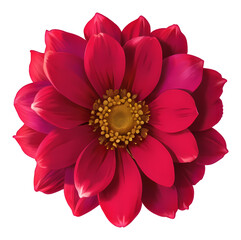 Wall Mural - flower isolated on transparent background, extracted, png file