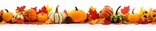 Autumn Leaves And Gourds, Pumpkins Patch On White Background Banner